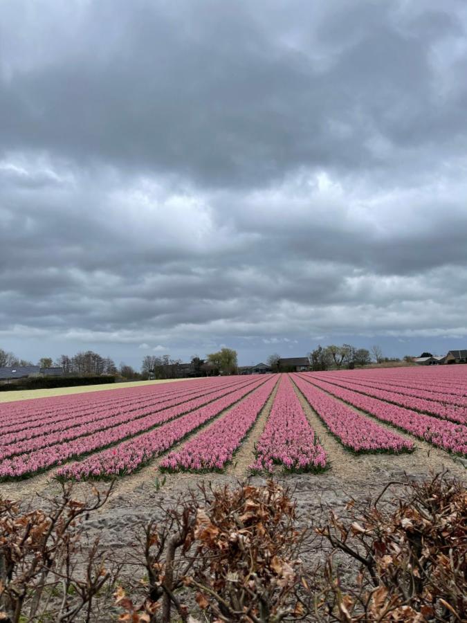 Paradijs Eiland Hillegom Eksteriør billede